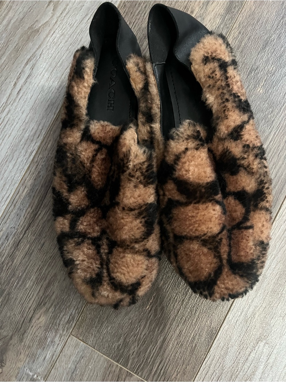 Coach Holly Logo Shearling Loafers